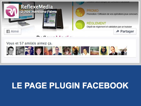 Page-Plugin-Facebook-Reflexemedia